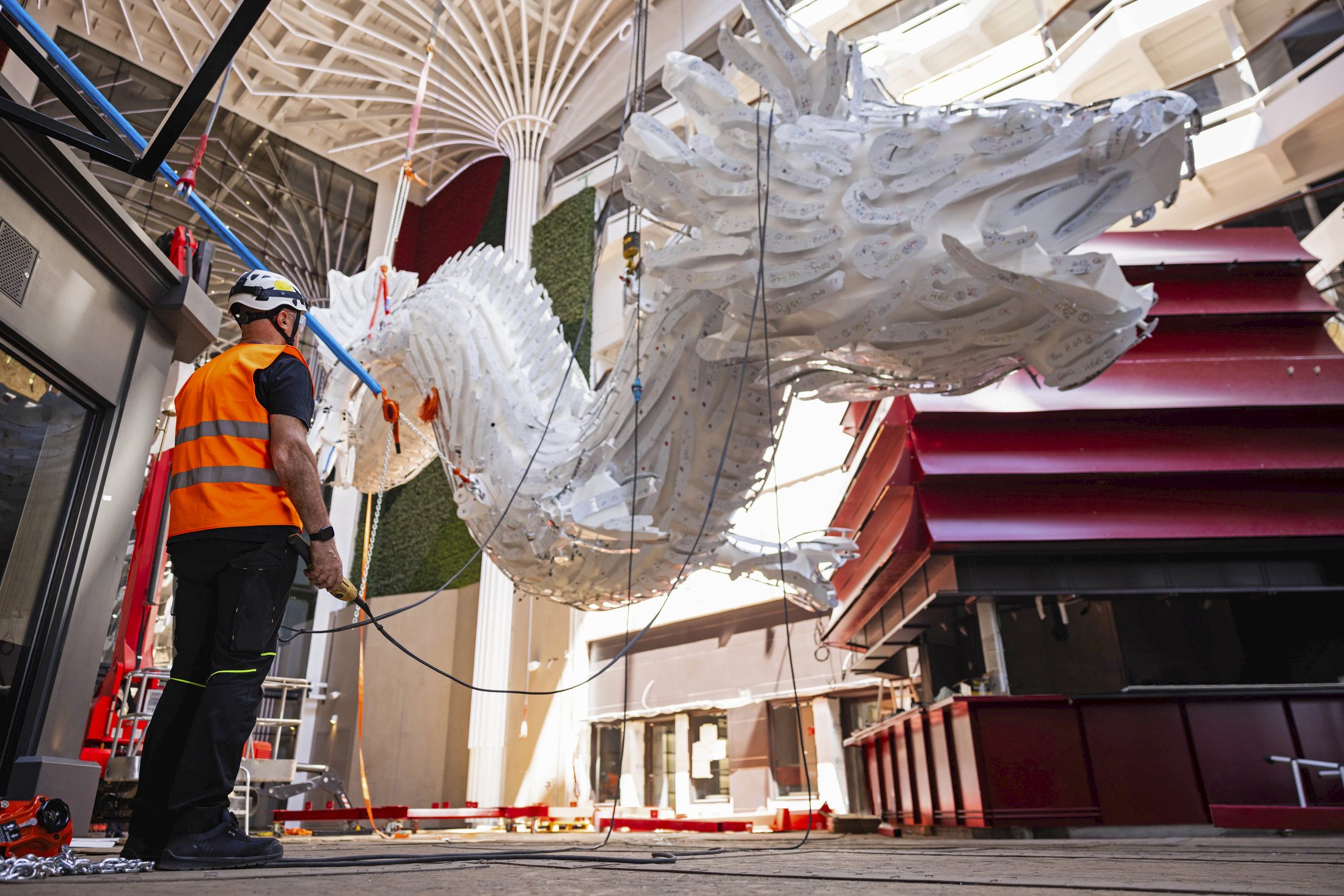 MSC World ShipsSuspended Artworks (Ongoing) photo 6
